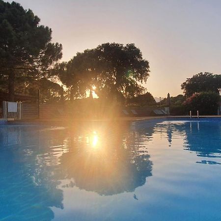 Fiori Di Cala Rossa Appartement T3 Dans Residence Hotelliere Chez Virginie Lecci Ngoại thất bức ảnh