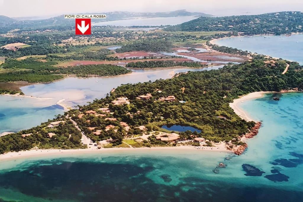 Fiori Di Cala Rossa Appartement T3 Dans Residence Hotelliere Chez Virginie Lecci Ngoại thất bức ảnh